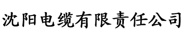 91香蕉视频无限次数app电缆厂logo